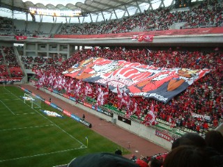 ����ȥ顼�����ݡ�������������